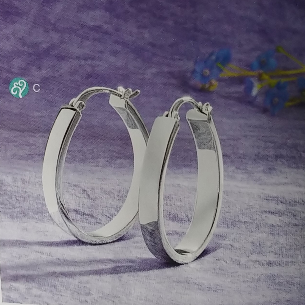 Silvertone hoop earrings